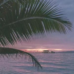 亚洲AV噜噜在线成人网站
